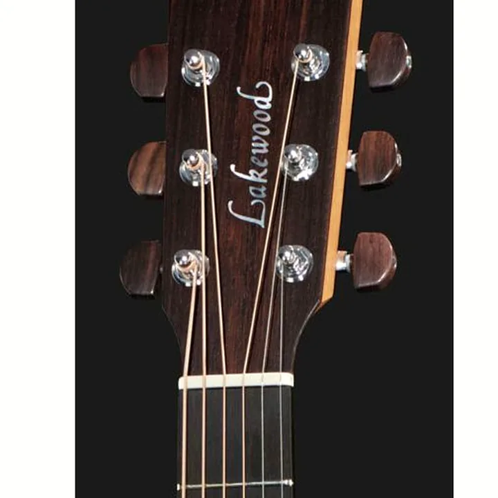 Avis, Test : Lakewood D-14 CP