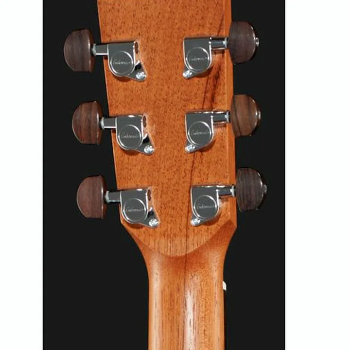 Avis, Test : Lakewood D-14 CP