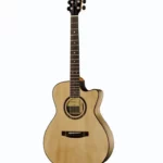 Avis & Test : Lakewood M-Euphoria Custom