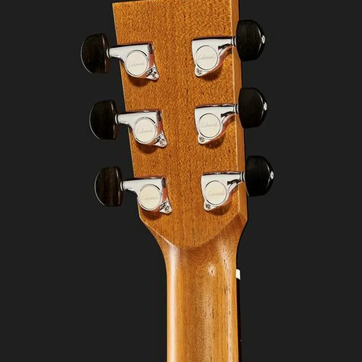 Avis & Test : Lakewood M-Euphoria Custom