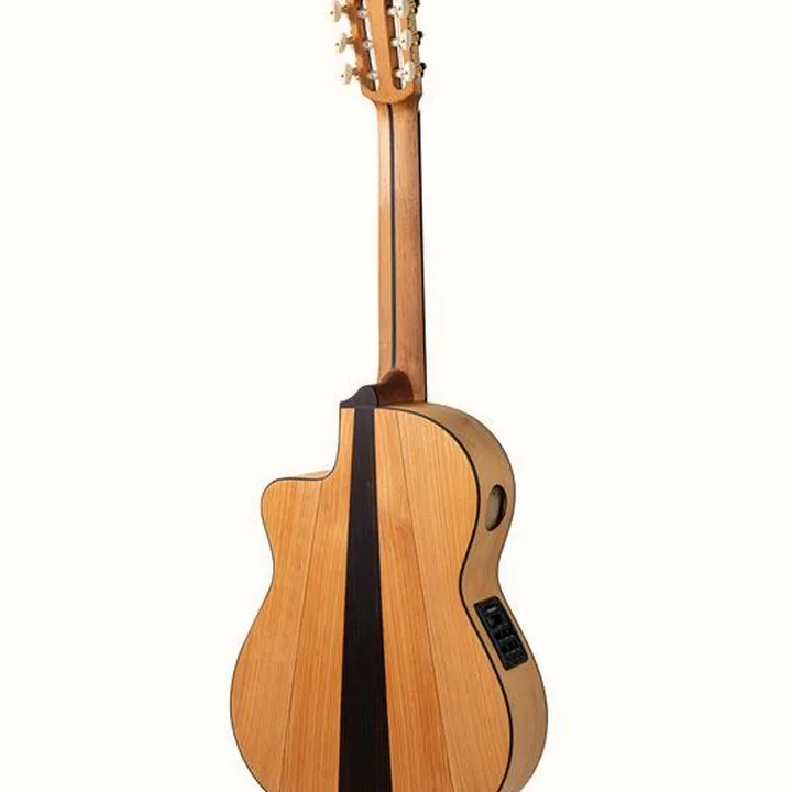 Avis, Test : Manuel Rodriguez Flamenco FF Sabicas Cutaway