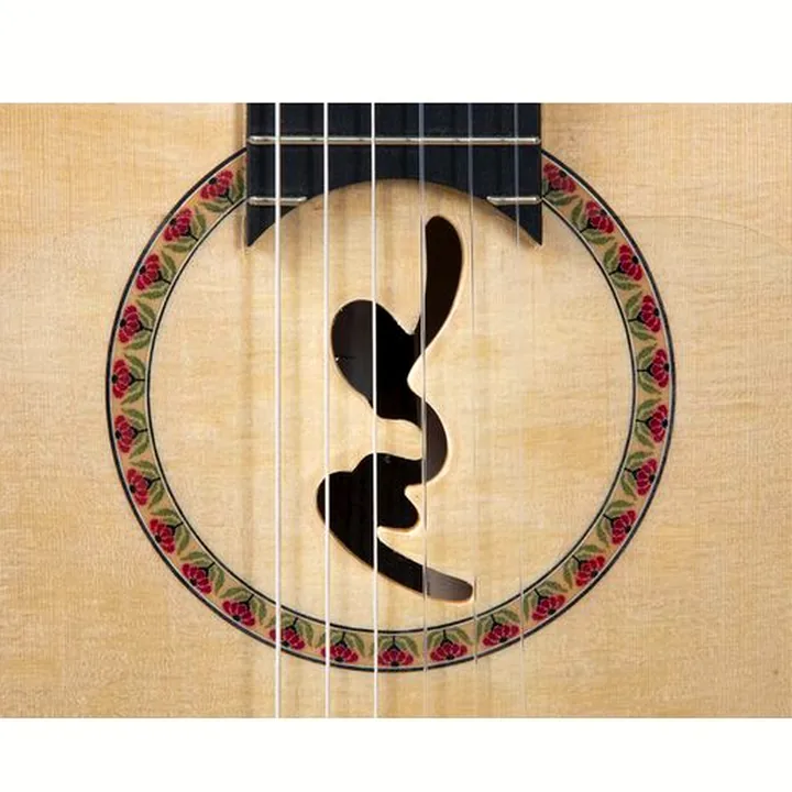 Avis, Test : Manuel Rodriguez Flamenco FF Sabicas Cutaway