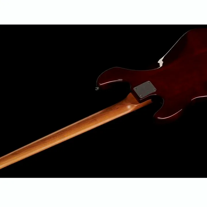Avis & Test : Marcus Miller P5R Alder-4 TS
