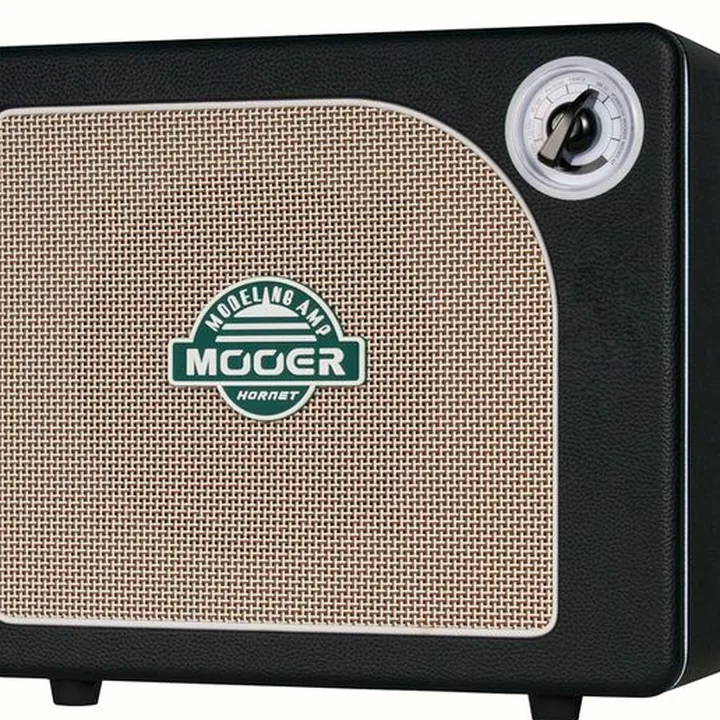 Avis, Test Mooer Hornet 15W LI Modeling Amp BL
