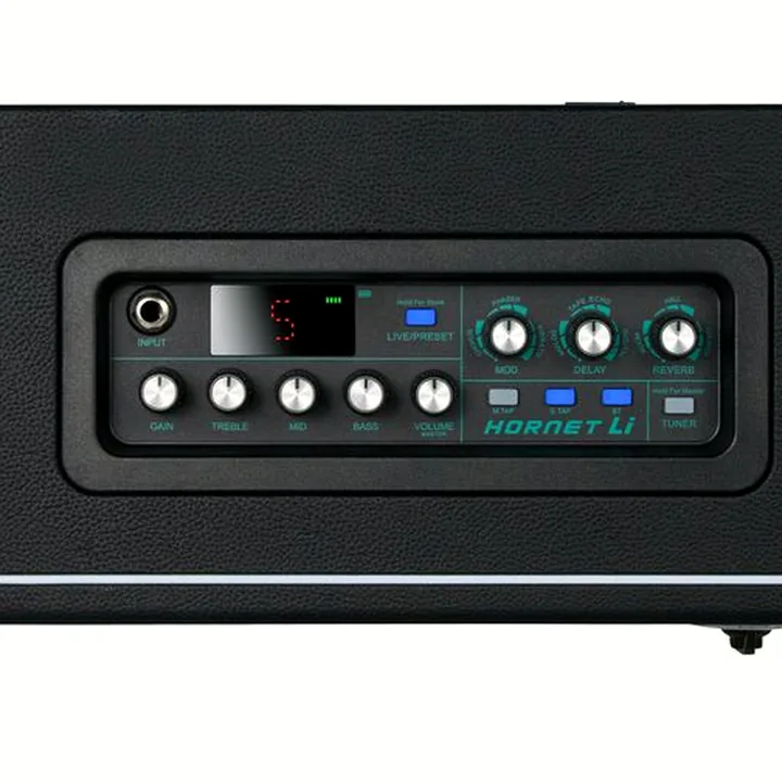 Avis, Test Mooer Hornet 15W LI Modeling Amp BL