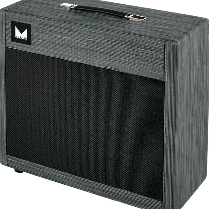 Avis, Test : Morgan Amplification 112 Cab Twilight