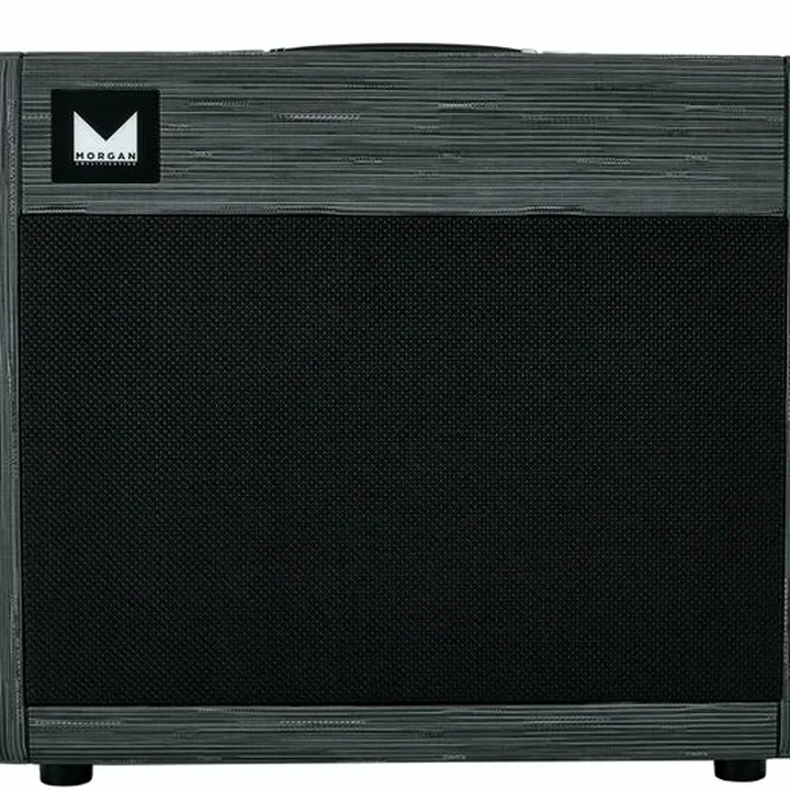 Avis, Test : Morgan Amplification 112 Cab Twilight
