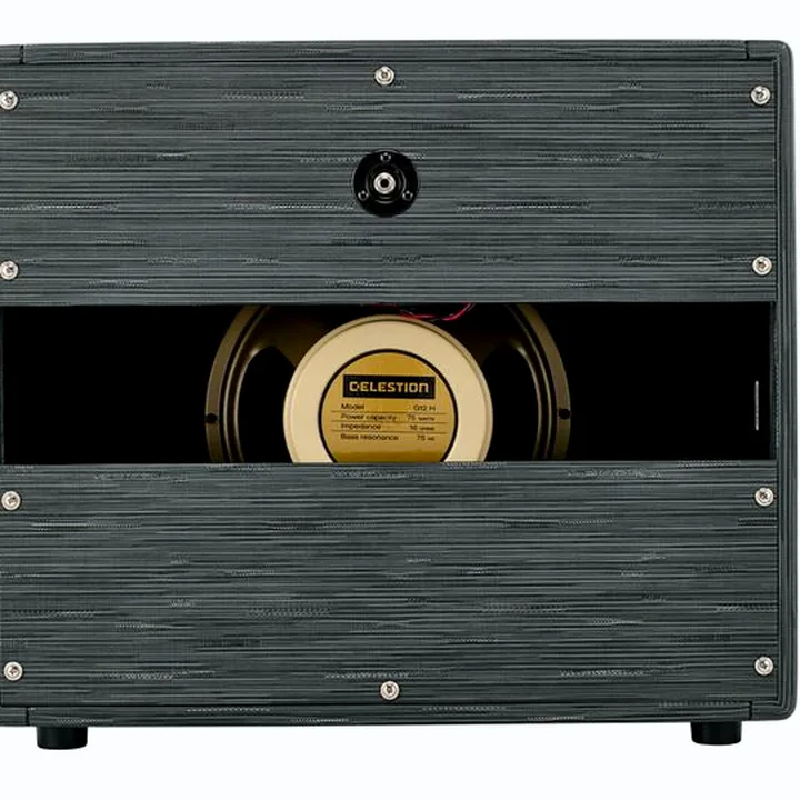 Avis, Test : Morgan Amplification 112 Cab Twilight