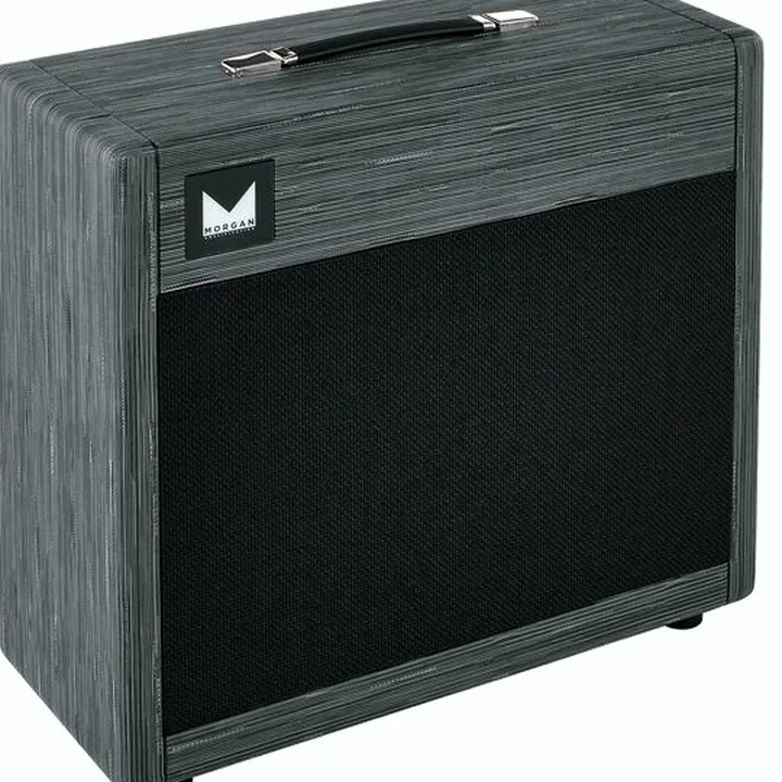 Avis, Test : Morgan Amplification 112 Cab Twilight
