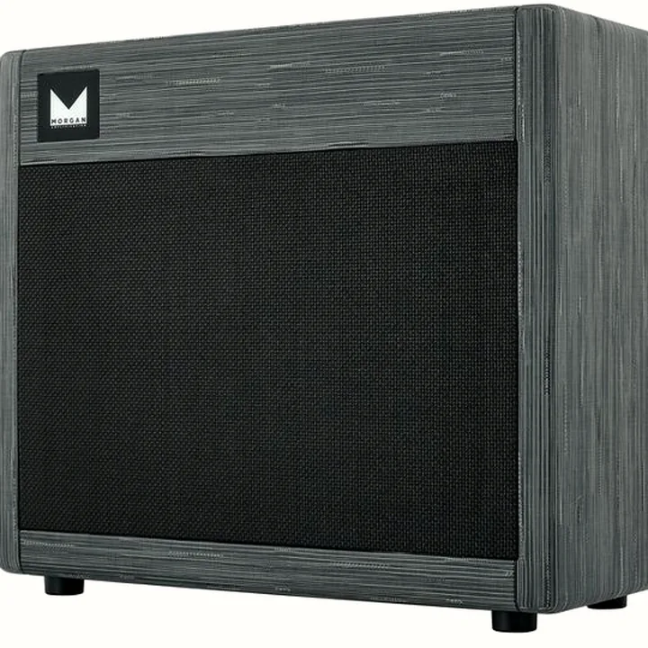 Avis, Test : Morgan Amplification 112 Cab Twilight