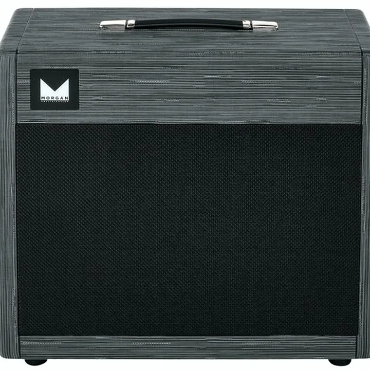 Avis, Test : Morgan Amplification 112 Cab Twilight