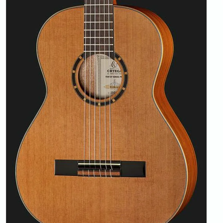 Avis, Test : Ortega R122L-3/4