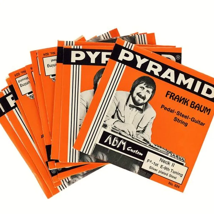Pyramid E-9th Pedal Steel S