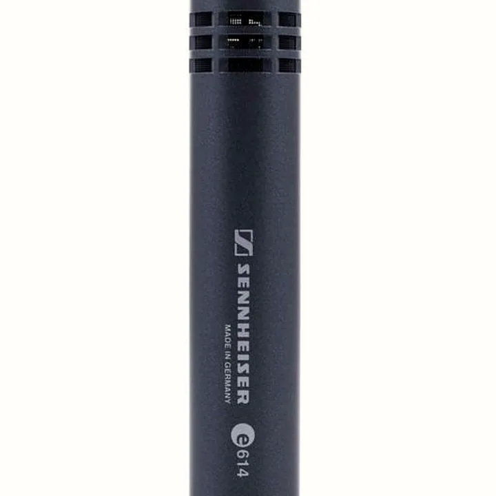 Avis, Test : Sennheiser E614
