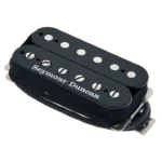 Avis, Test : Seymour Duncan SHPG1B BLK