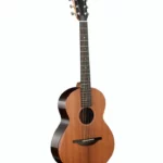 Avis & Test Sheeran by Lowden W05