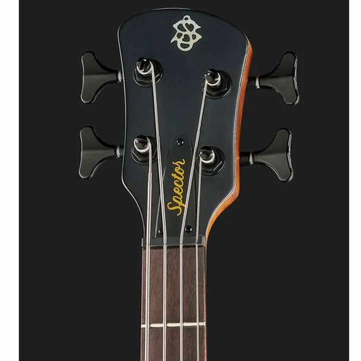 Avis, Test Spector NS Pulse II 4 Black Cherry