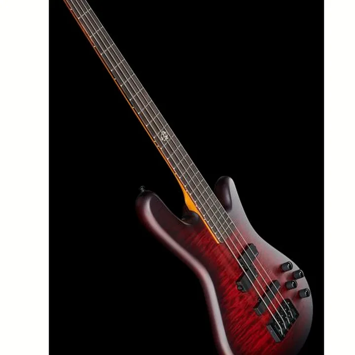 Avis, Test Spector NS Pulse II 4 Black Cherry