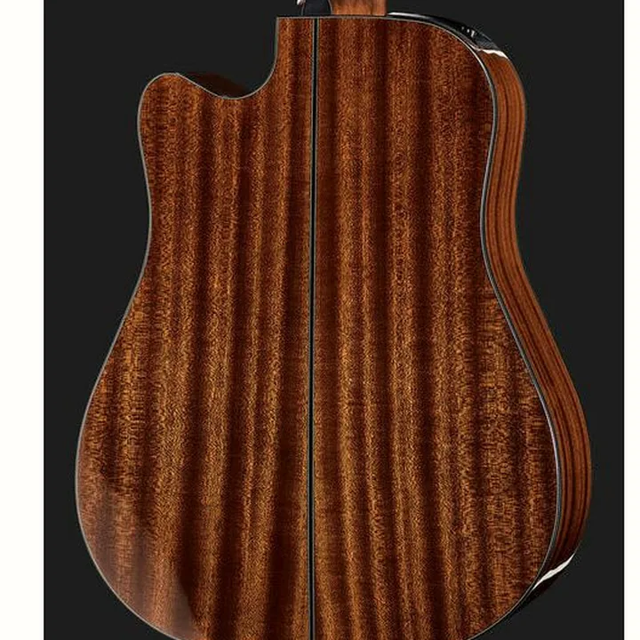 Avis, Test Takamine GD30CE-12N