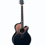Avis, Test : Takamine LTD 2024