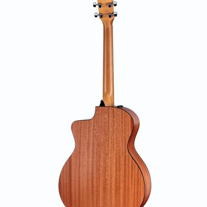 Avis, Test Taylor 114ce SB