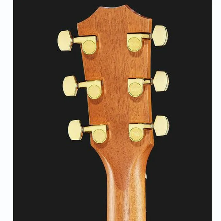 Avis & Test : Taylor 224ce-K DLX
