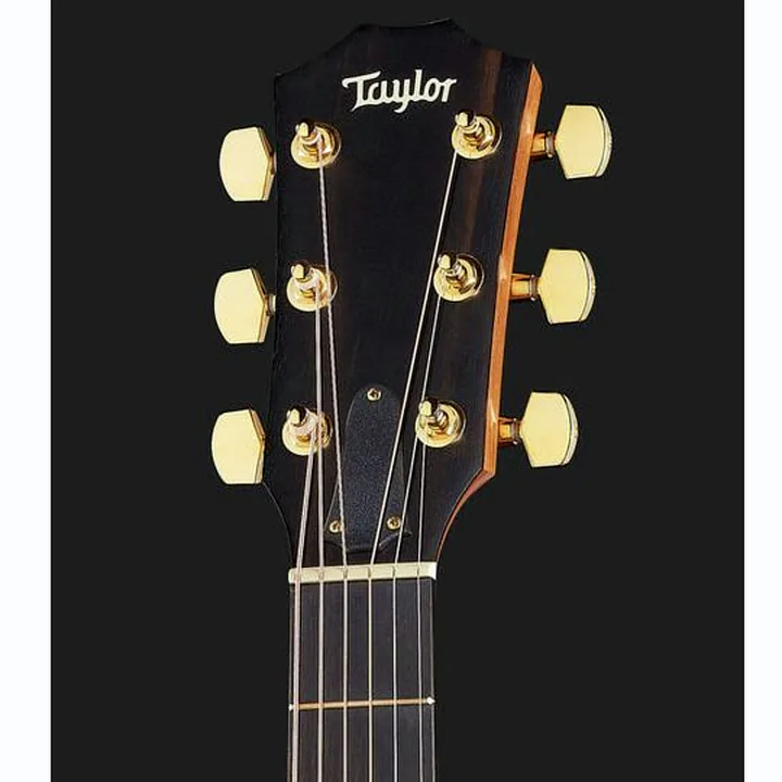 Avis & Test : Taylor 224ce-K DLX