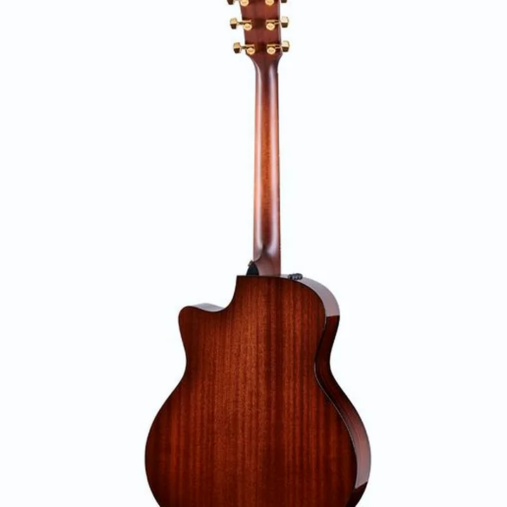 Avis, Test : Taylor 316ce Baritone LTD 50th Anniv