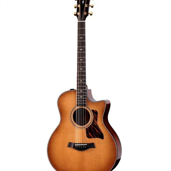 Avis, Test : Taylor 316ce Baritone LTD 50th Anniv