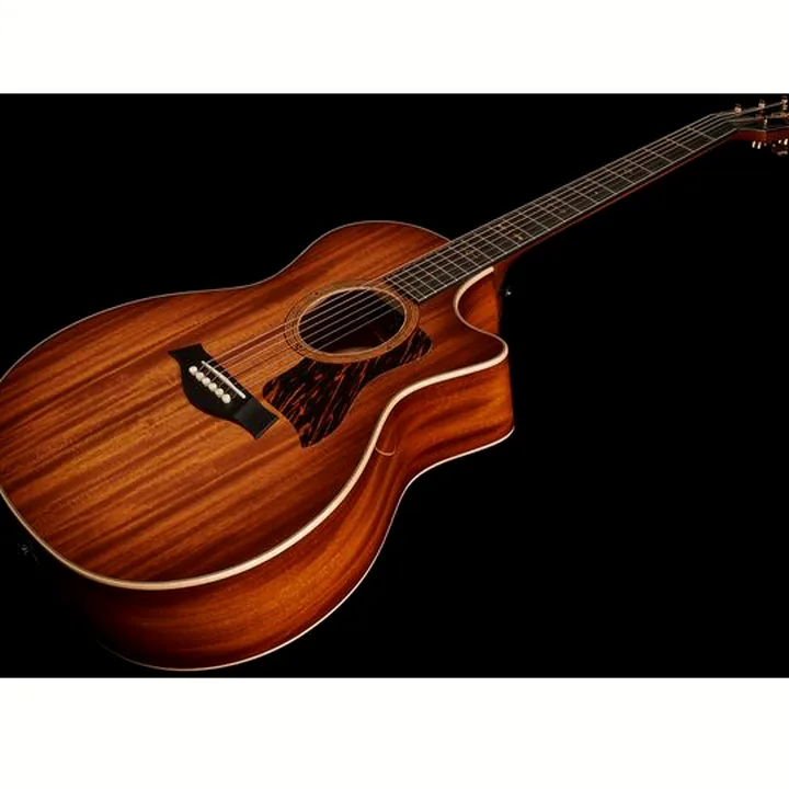 Avis & Test : Taylor C24ce Grand Auditorium Custom