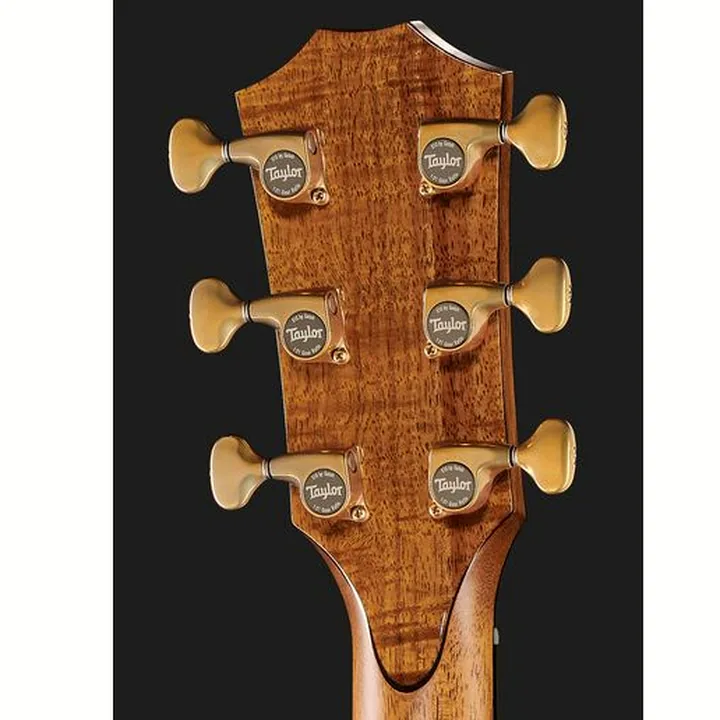 Avis & Test : Taylor C28ce Grand Orchestra Custom