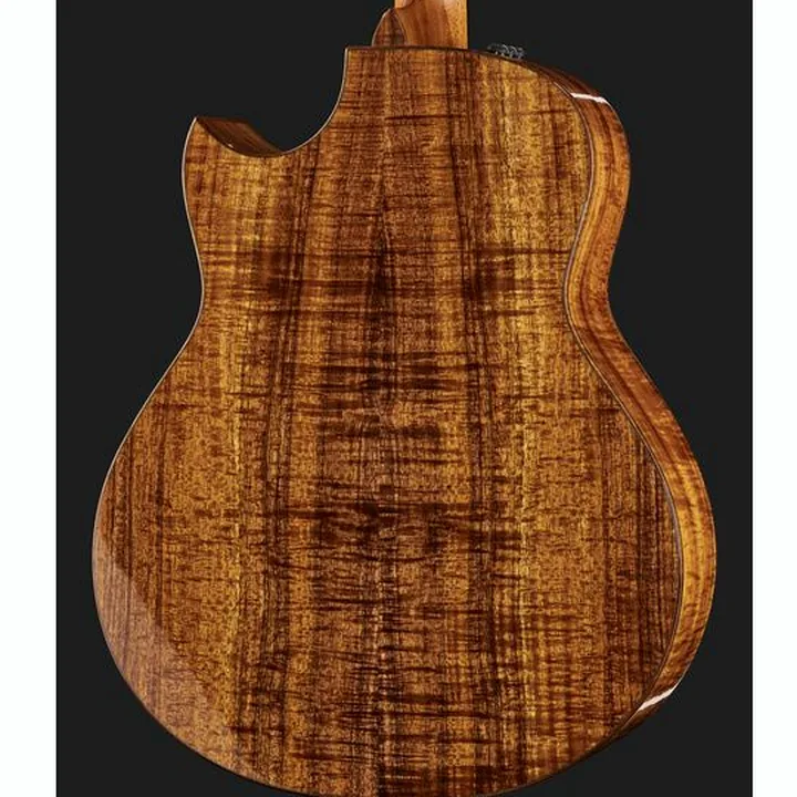 Avis & Test : Taylor C28ce Grand Orchestra Custom