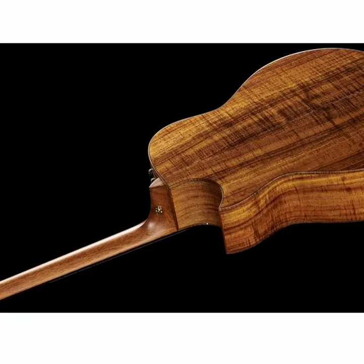 Avis & Test : Taylor C28ce Grand Orchestra Custom