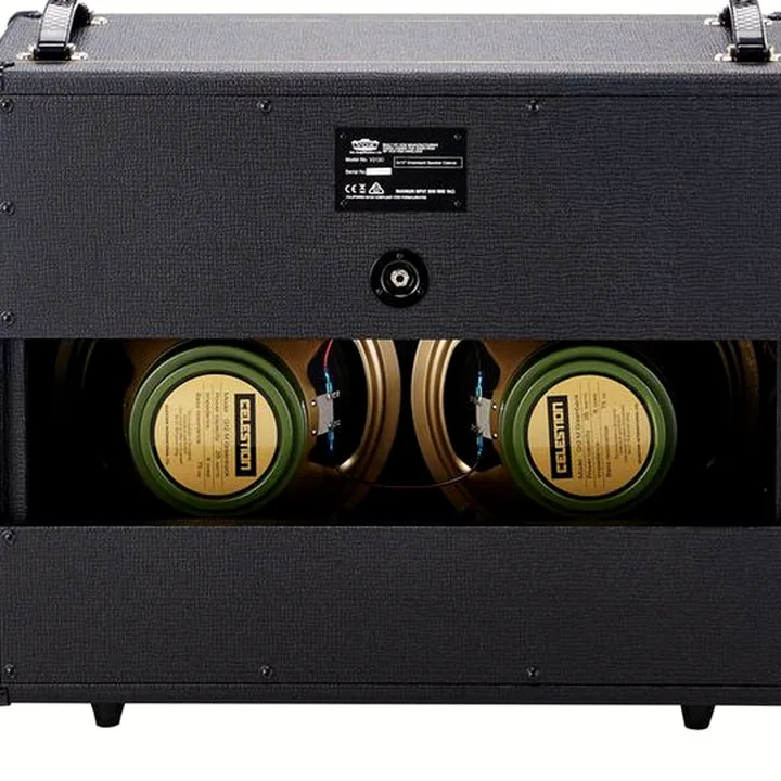 Avis, Test : Vox V212C