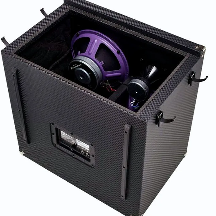Et Test Baffle Ampeg PF-210HE Portaflex