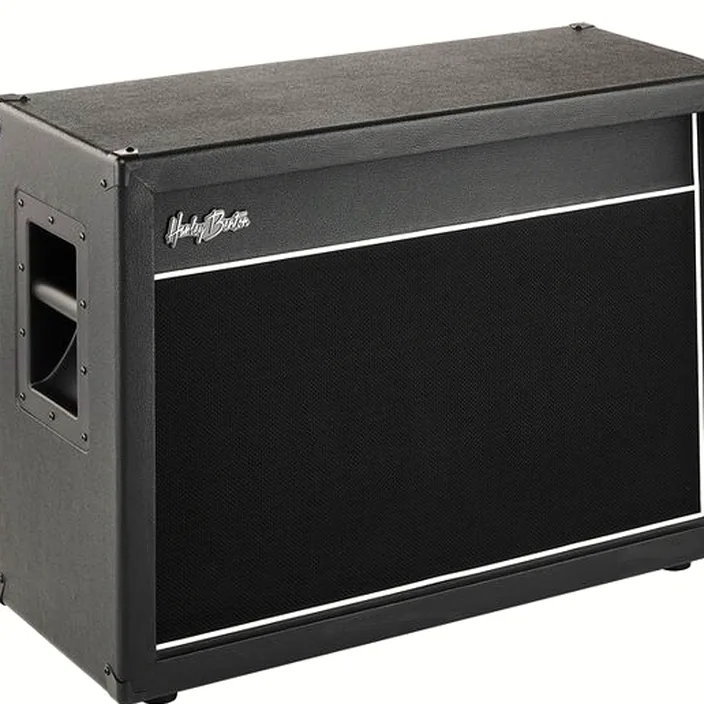 Baffle Harley Benton G212Plus Unloaded