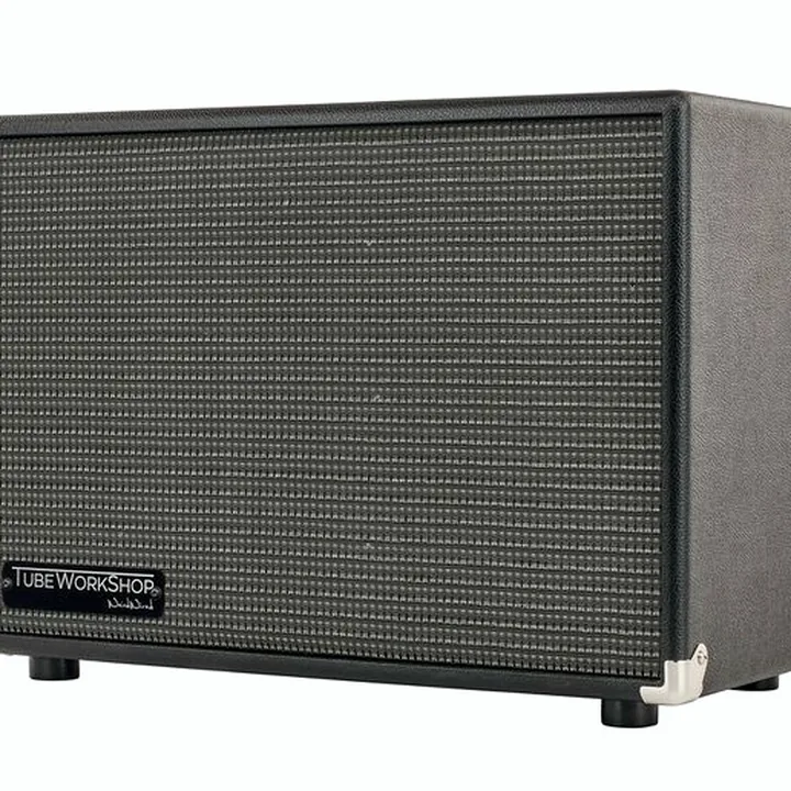 Baffle pour basse électrique TWS Bass-Cab 1×12 Comparatif, Avis et Test