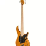 Basse Dingwall NG3 Nolly Sig.5 Gold Matte , Avis, Comparatif et Test