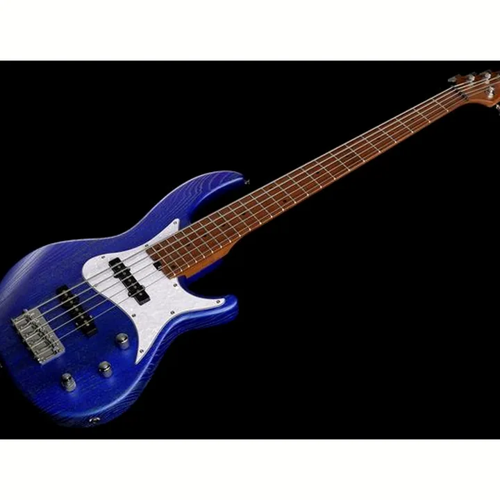 Basse électrique Harley Benton JJ-55OP Blue Bundle , Test & Avis