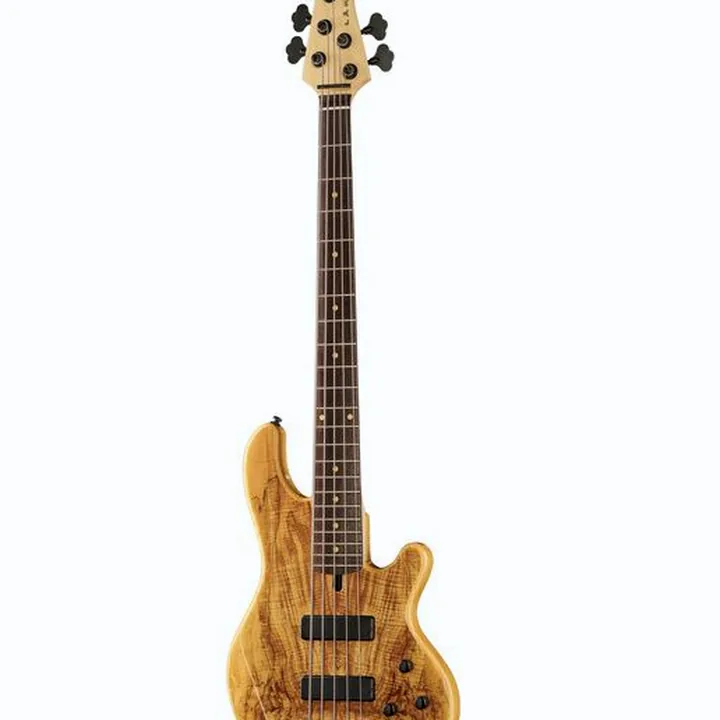 Basse électrique Lakland Skyline 55-01 Deluxe 5 NAT Test, Avis
