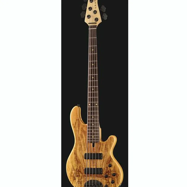 Basse électrique Lakland Skyline 55-01 Deluxe 5 NAT Test, Avis