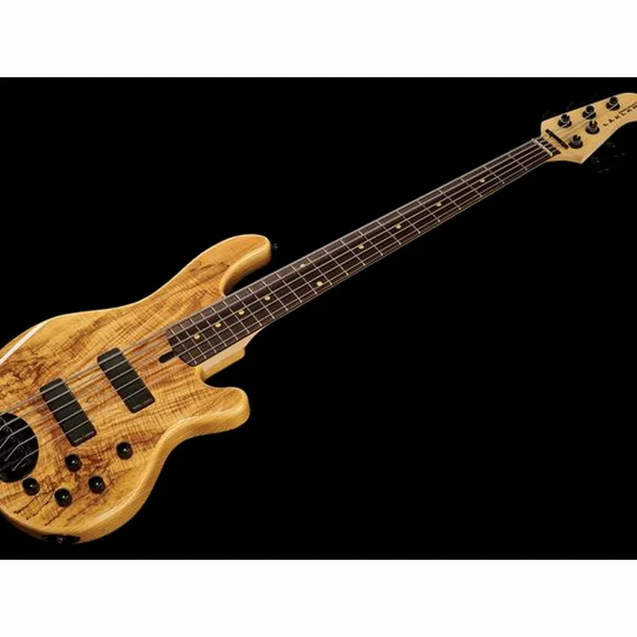 Basse électrique Lakland Skyline 55-01 Deluxe 5 NAT Test, Avis
