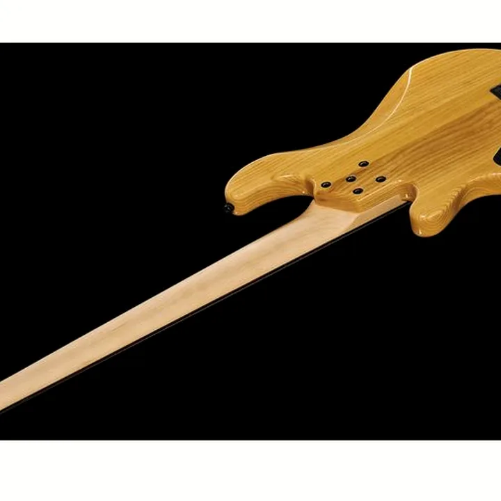 Basse électrique Lakland Skyline 55-01 Deluxe 5 NAT Test, Avis