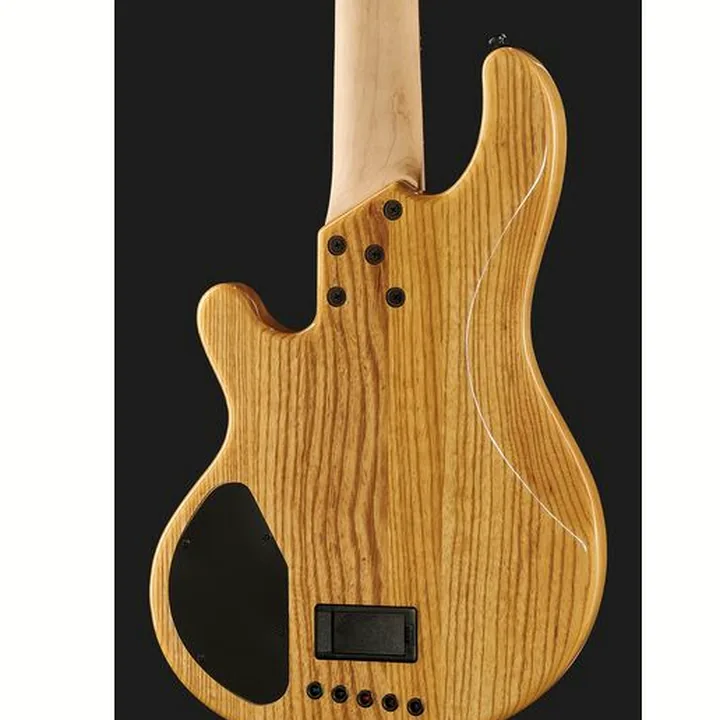 Basse électrique Lakland Skyline 55-01 Deluxe 5 NAT Test, Avis