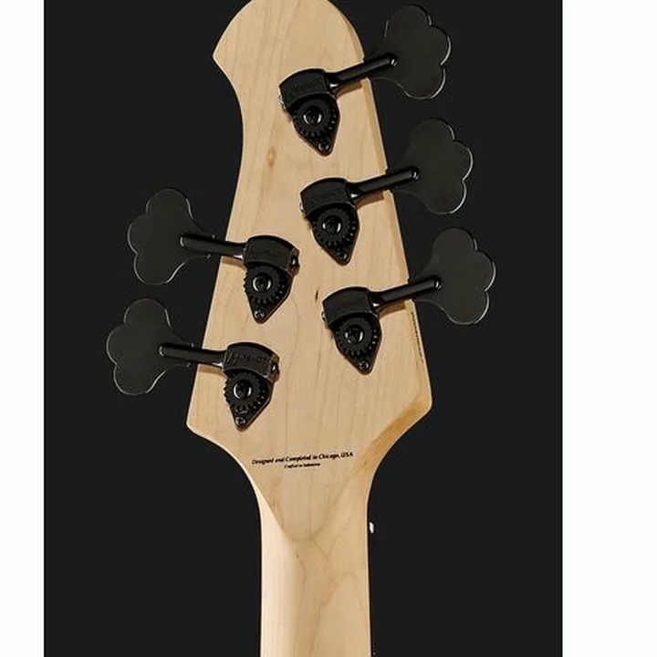 Basse électrique Lakland Skyline 55-01 Deluxe 5 NAT Test, Avis