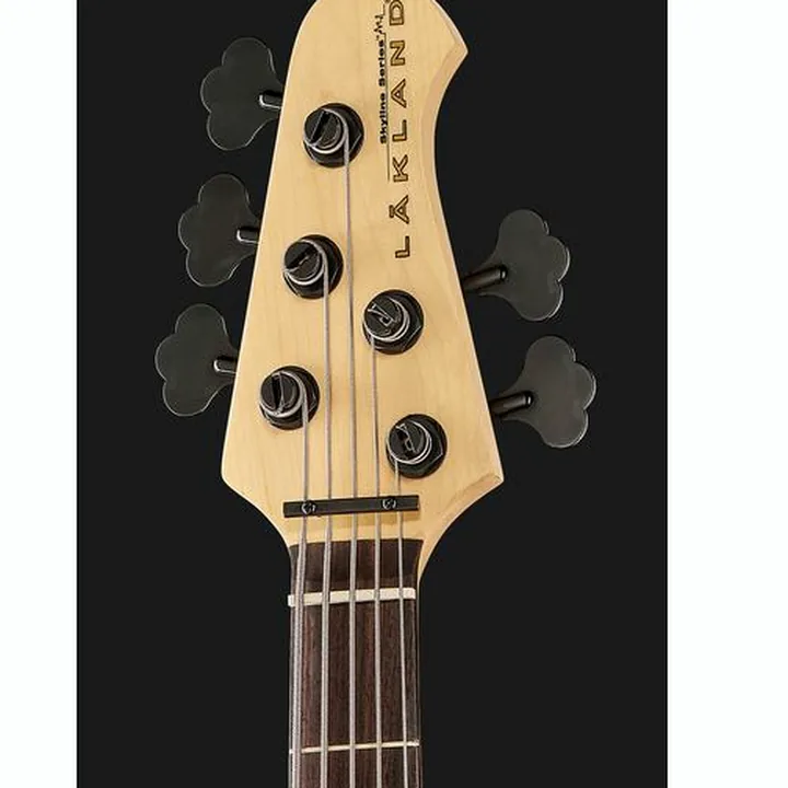 Basse électrique Lakland Skyline 55-01 Deluxe 5 NAT Test, Avis