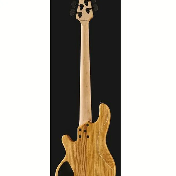 Basse électrique Lakland Skyline 55-01 Deluxe 5 NAT Test, Avis