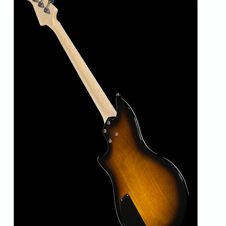 Basse électrique Lakland Skyline Hollowbody-30 4 TSG Test, Avis & Comparatif