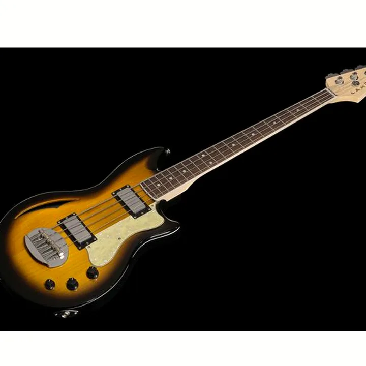 Basse électrique Lakland Skyline Hollowbody-30 4 TSG Test, Avis & Comparatif