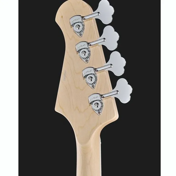 Basse électrique Lakland Skyline Hollowbody-30 4 TSG Test, Avis & Comparatif